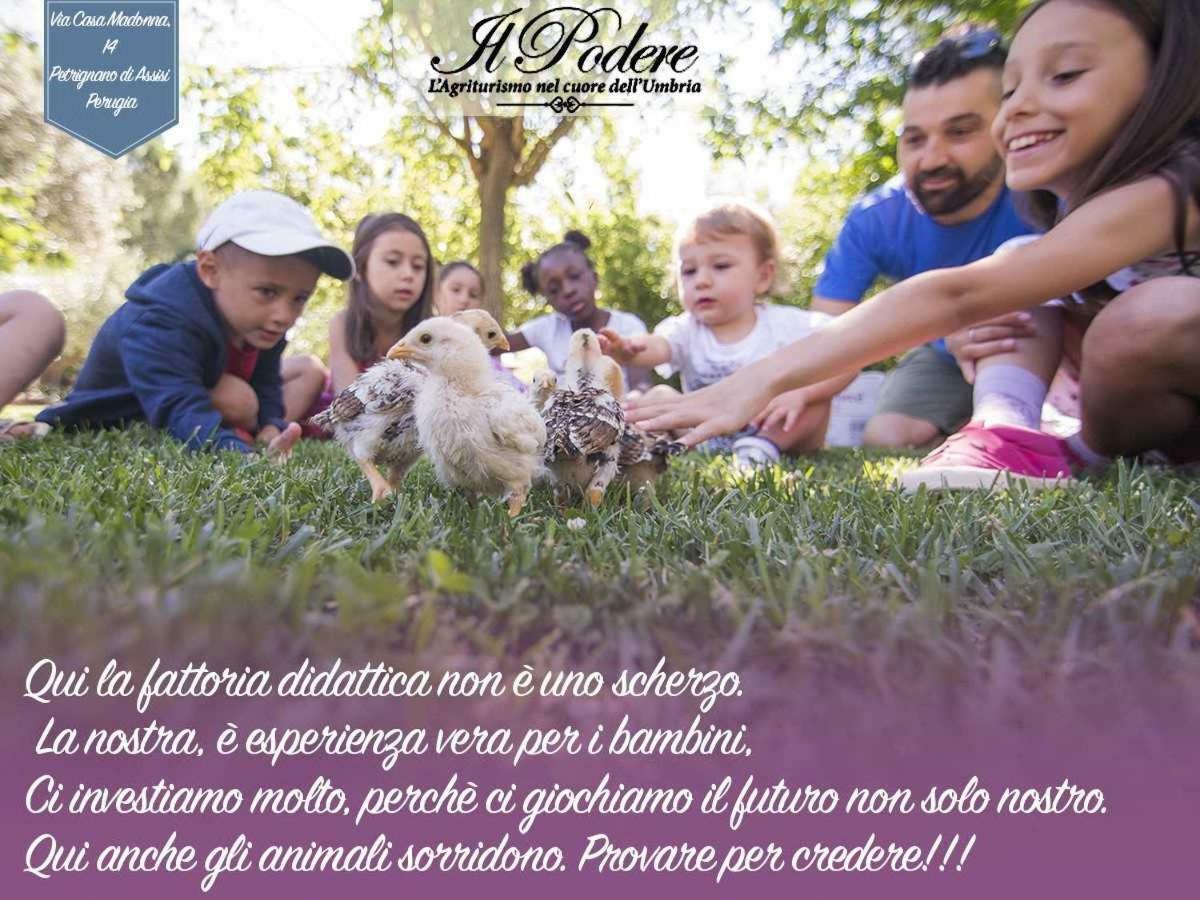 فندق Petrignanoفي  Agriturismo Il Podere المظهر الخارجي الصورة