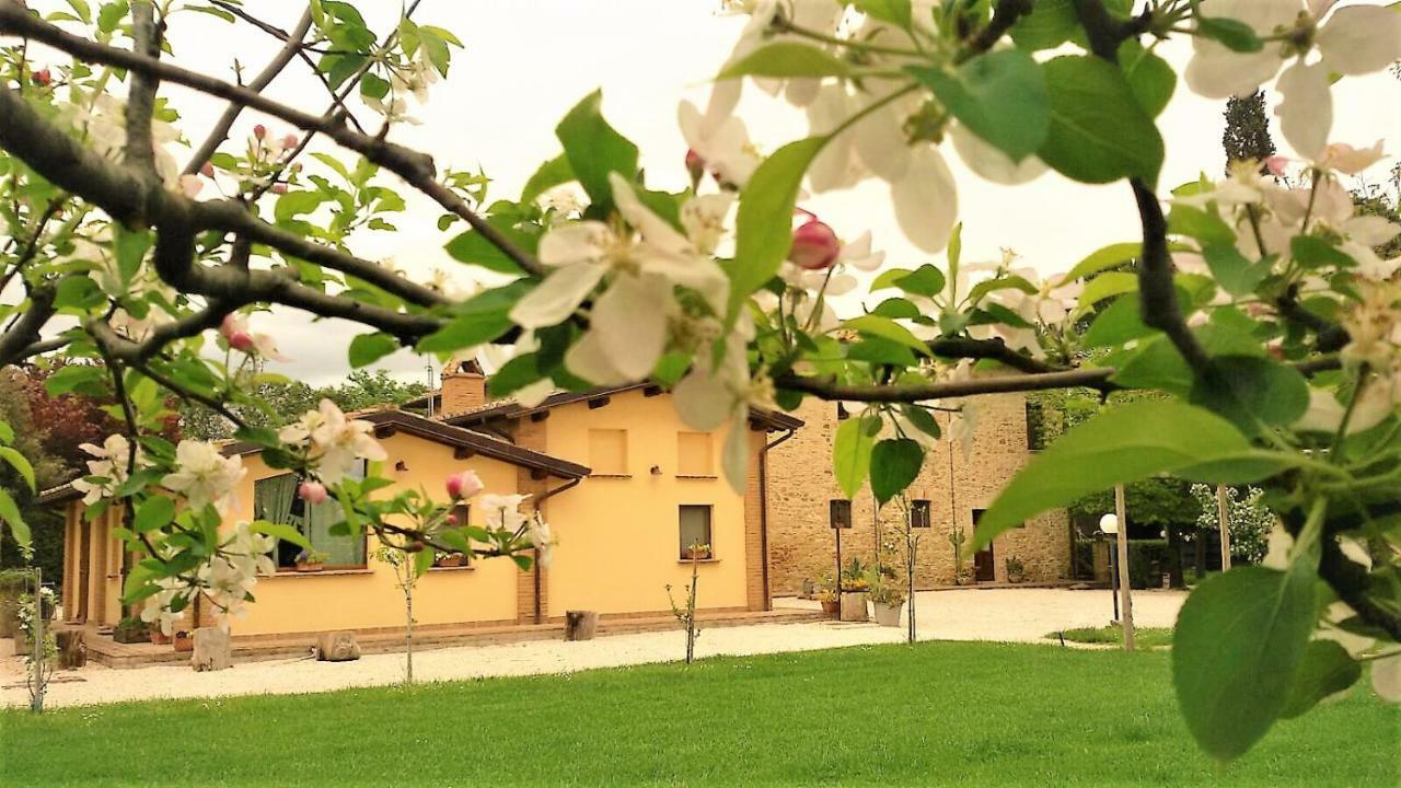 فندق Petrignanoفي  Agriturismo Il Podere المظهر الخارجي الصورة