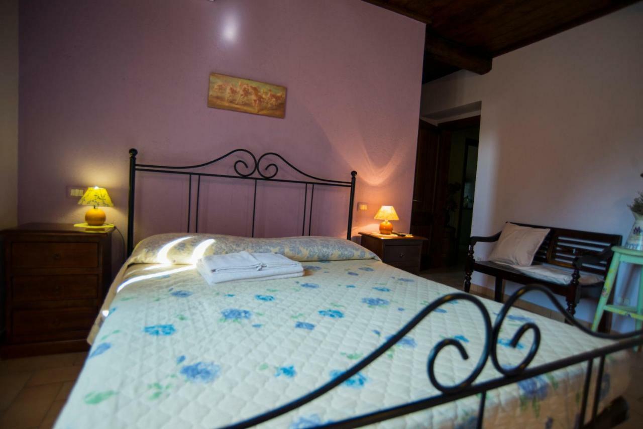 فندق Petrignanoفي  Agriturismo Il Podere المظهر الخارجي الصورة